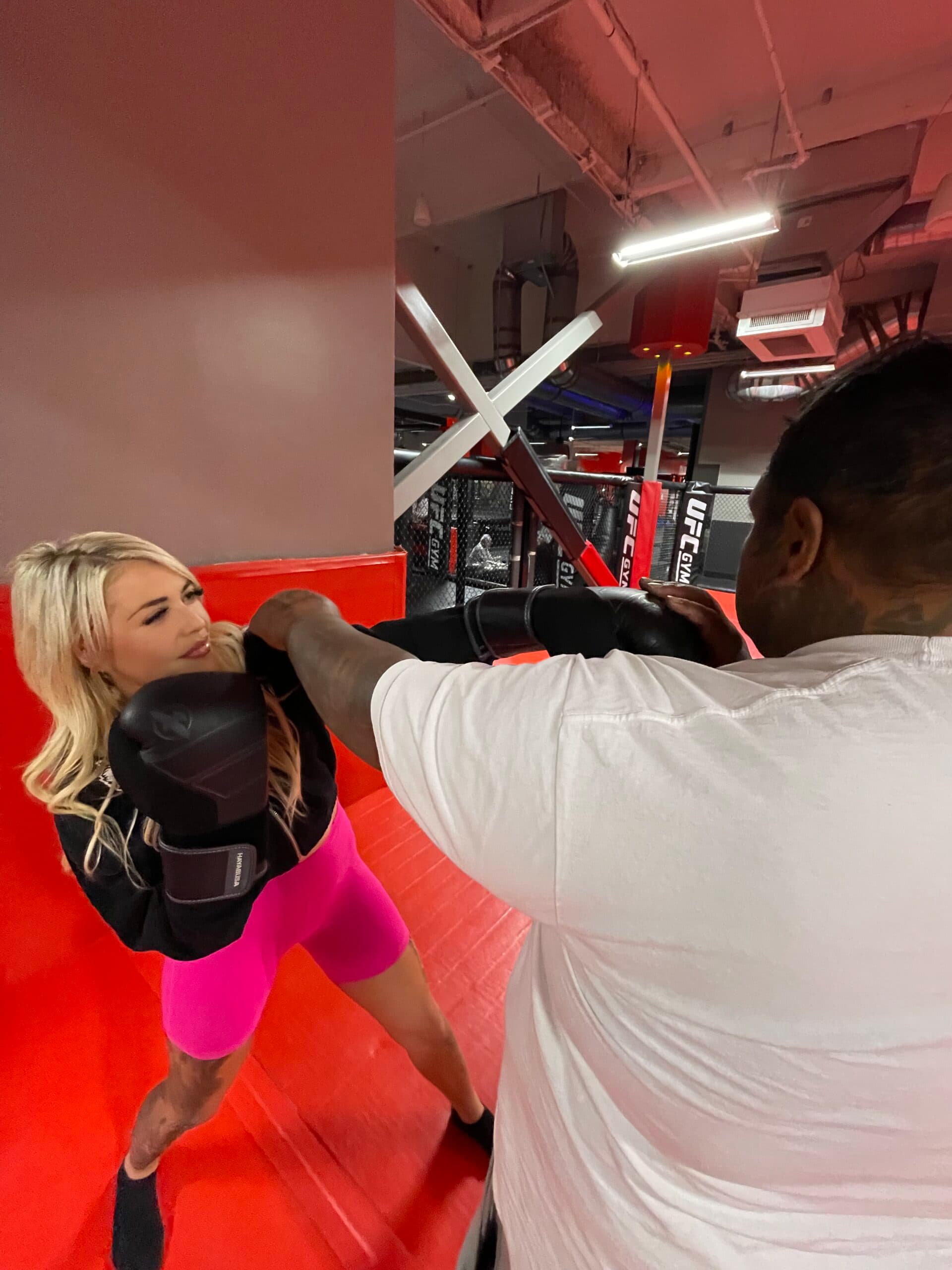 Training Image 1